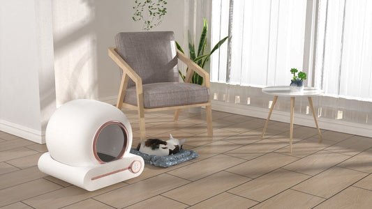 Smart Cat Litter Box Cat Litter Box Self-Cleaning