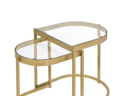 Timbul - Coffee Table (2 Piece) - Clear Glass & Gold Finish