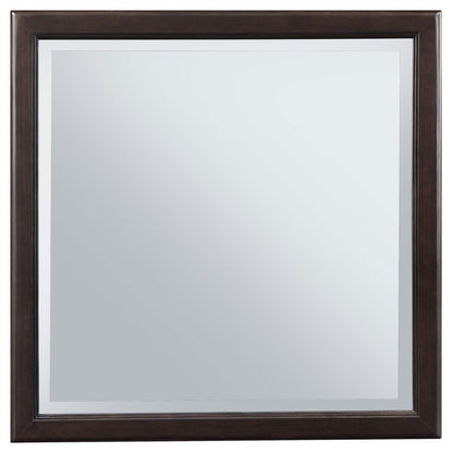 Emberlyn - Dresser Mirror - Brown