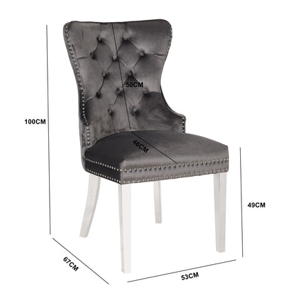 Erica 2 Piece Stainless Steel Legs Chair Finish with Velvet Fabric in Dark Gray