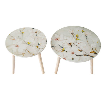 Side Tables (Set of 2)