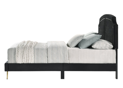 ACME Zeena Queen Bed, Black Velvet BD01176Q